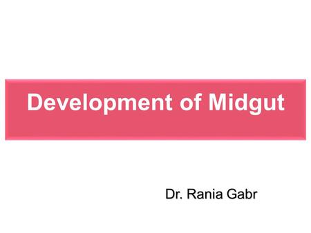 Development of Midgut Dr. Rania Gabr.