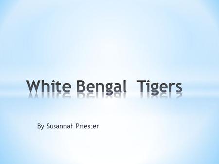 By Susannah Priester. Hello, in this book you will find out all about me, a White Bengal Tiger. I live in the rain forest I will not tell you too much.