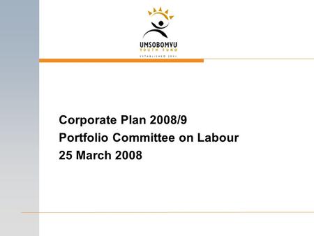 Corporate Plan 2008/9 Portfolio Committee on Labour 25 March 2008.