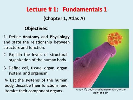 Lecture # 1: Fundamentals 1