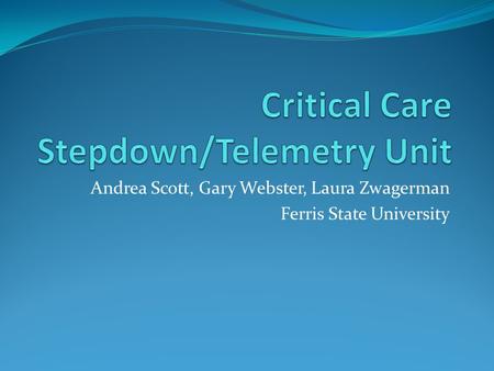 Andrea Scott, Gary Webster, Laura Zwagerman Ferris State University.