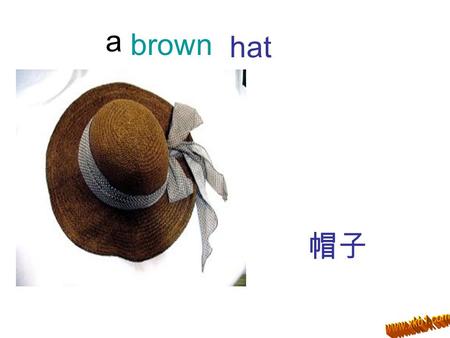 Hat 帽子 a brown. cap 帽子 a blue shirt 衬衫 a white T-shirt T 恤衫 a green.