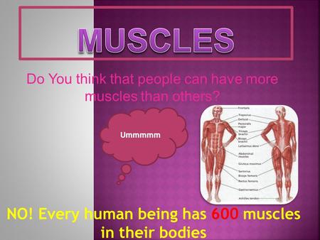 Do You think that people can have more muscles than others? Ummmmm NO! Every human being has 600 muscles in their bodies.