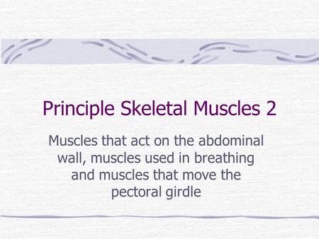 Principle Skeletal Muscles 2