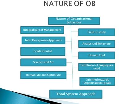 NATURE OF OB Total System Approach Nature of Organisational behaviour