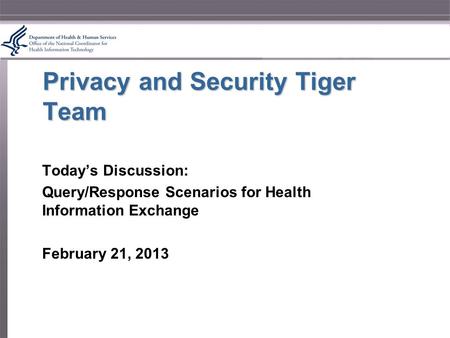 Privacy and Security Tiger Team Today’s Discussion: Query/Response Scenarios for Health Information Exchange February 21, 2013.