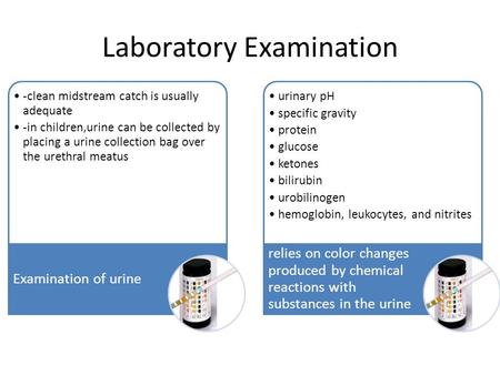 Laboratory Examination -clean midstream catch is usually adequate -in children,urine can be collected by placing a urine collection bag over the urethral.