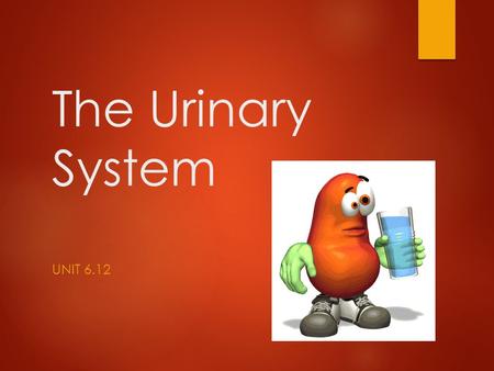 The Urinary System UNIT 6.12. Objectives:  Define, pronounce, and spell all key terms.  Label a diagram of the Urinary System.  State the functions.