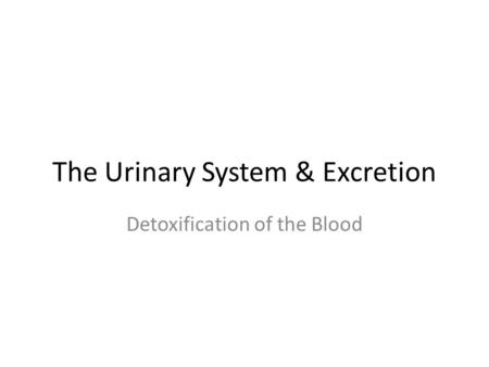 The Urinary System & Excretion Detoxification of the Blood.