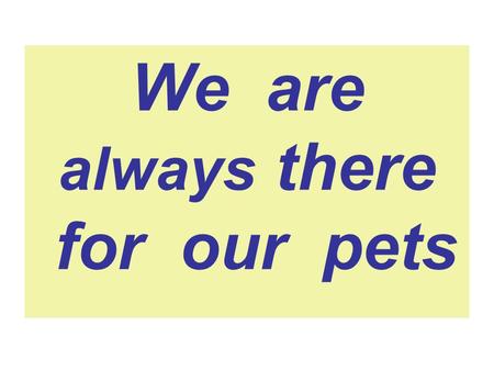 We are always there for our pets. I love all kinds of animals Dogs and cats and rabbits. I love all kinds of animals, Despite their little habbits.