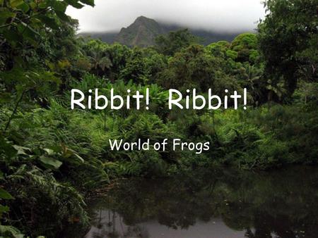 Ribbit! World of Frogs. Toads “Toads” “Green Toad” “Golden Toads of costa rica” “Midewife”