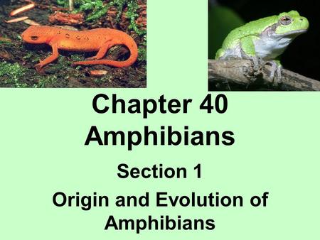 Section 1 Origin and Evolution of Amphibians