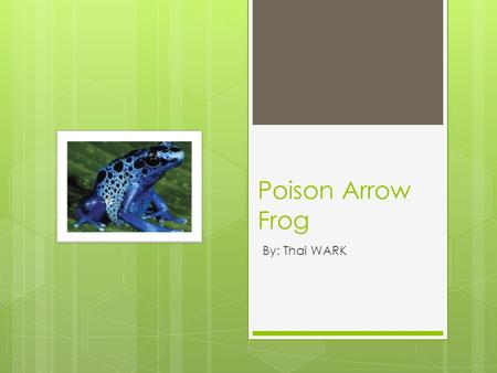 Poison Arrow Frog By: Thai WARK. Baby Name Poison Arrow Frog  This frog is a tadpole when young and a froglet when older.