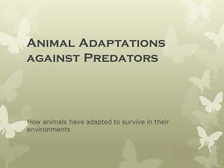 Animal Adaptations against Predators How animals have adapted to survive in their environments.