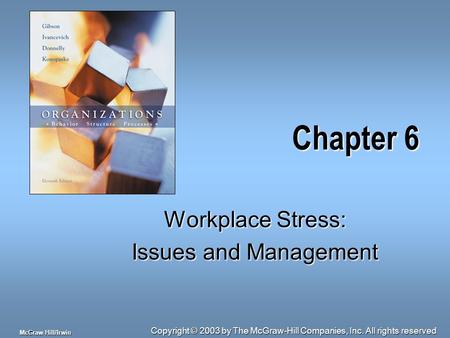Copyright © 2003 by The McGraw-Hill Companies, Inc. All rights reserved McGraw-Hill/Irwin Chapter 6 Workplace Stress: Issues and Management.