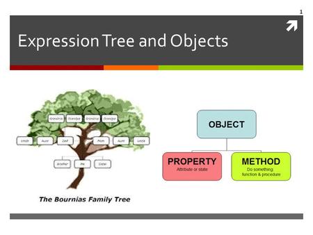  Expression Tree and Objects 1. Elements of Python  Literals, Strings, Tuples, Lists, …  The order of file reading  The order of execution 2.