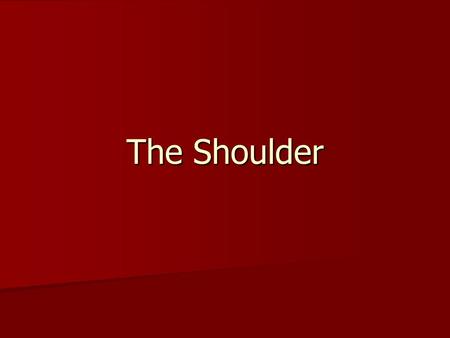The Shoulder. Anatomy Anatomy Movements Movements Injuries Injuries Evaluation Evaluation Rehabilitation Rehabilitation.