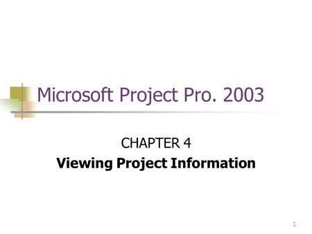 1 Microsoft Project Pro. 2003 CHAPTER 4 Viewing Project Information.