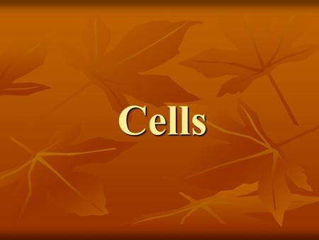 Cells. What are cells? Cells are the basic structure of all living things.