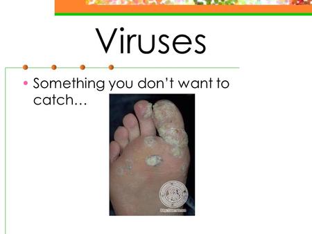 Viruses Something you don’t want to catch….