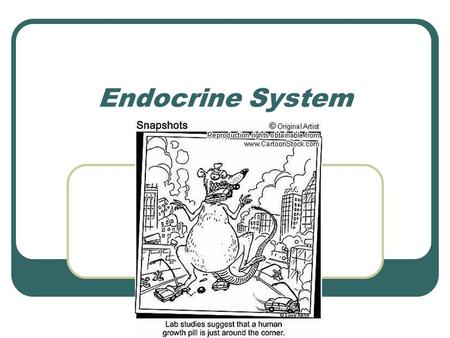 Endocrine System. Endocrine – “ductless glands” Secretions directly enter blood and travel to every body organ But not all cell respond…only target cells.