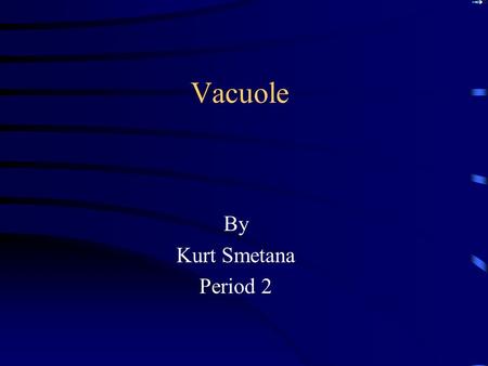 Vacuole By Kurt Smetana Period 2 Types of Vacuoles Food Vacuoles - formed by phagocytosis Tractile Vacuoles - pumps excess water out of the cell. Central.