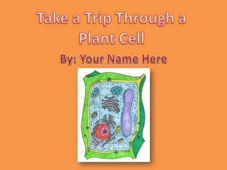 Take a Trip Through a Plant Cell