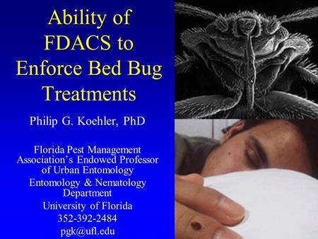 Ability of FDACS to Enforce Bed Bug Treatments Philip G. Koehler, PhD Florida Pest Management Association’s Endowed Professor of Urban Entomology Entomology.