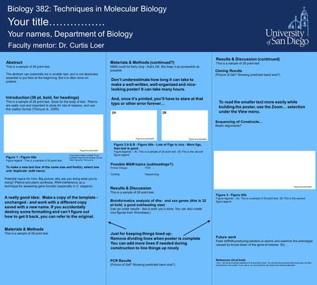Biology 382: Techniques in Molecular Biology Your title……………. Your names, Department of Biology Faculty mentor: Dr. Curtis Loer Abstract This is a sample.