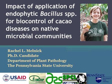 Impact of application of endophytic Bacillus spp