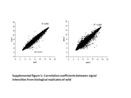 Supplemental figure 1: Correlation coefficients between signal intensities from biological replicates of wild.