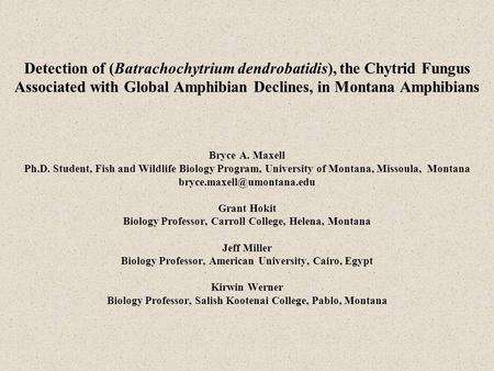 Detection of (Batrachochytrium dendrobatidis), the Chytrid Fungus Associated with Global Amphibian Declines, in Montana Amphibians Bryce A. Maxell Ph.D.