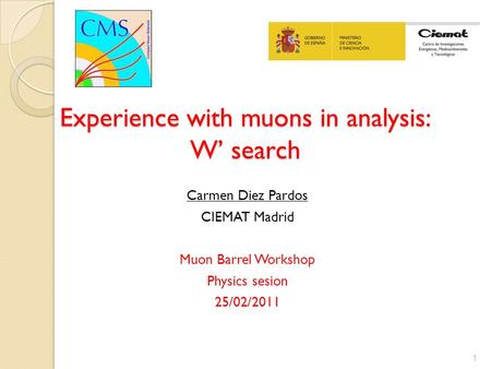 Experience with muons in analysis: W’ search Carmen Diez Pardos CIEMAT Madrid Muon Barrel Workshop Physics sesion 25/02/2011 1.