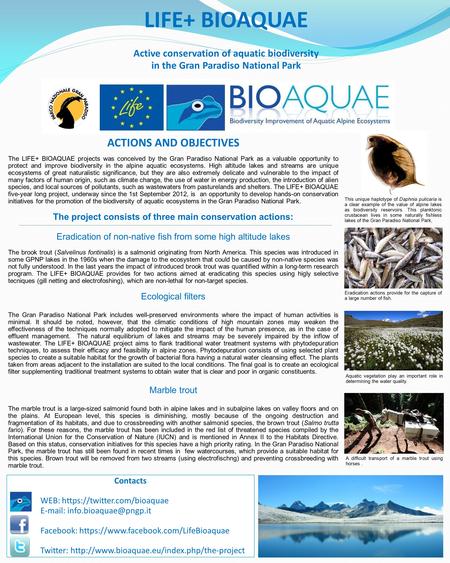 LIFE+ BIOAQUAE Active conservation of aquatic biodiversity in the Gran Paradiso National Park ACTIONS AND OBJECTIVES The LIFE+ BIOAQUAE projects was conceived.