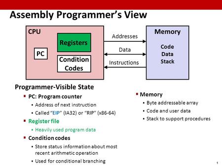 Assembly Programmer’s View