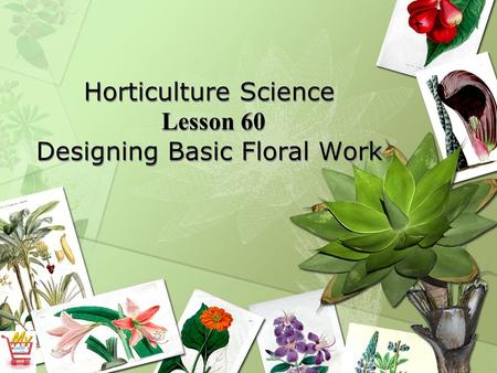 Horticulture Science Lesson 60 Designing Basic Floral Work.