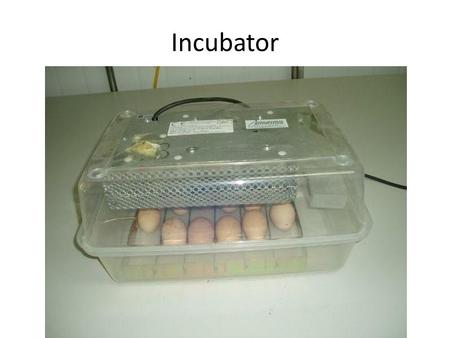 Incubator. Scalpel handle and blades X-Ray Viewer.