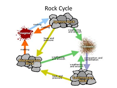 Rock Cycle. Sedimentary Rocks Fossil source rock Made from weathered and eroded igneous and metamorphic rocks Indicate past climates/environments Petroleum,