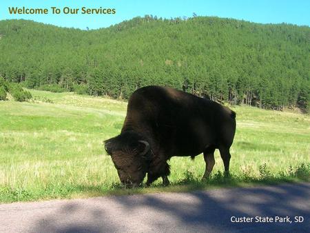 Welcome To Our Services Custer State Park, SD. Let’s Worship In Spirit & In Truth  Song Leader – Chris Craig ♫ First Hymn # ♫ Second Song #  First Prayer.
