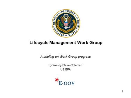 1 Lifecycle Management Work Group A briefing on Work Group progress by Wendy Blake-Coleman US EPA.
