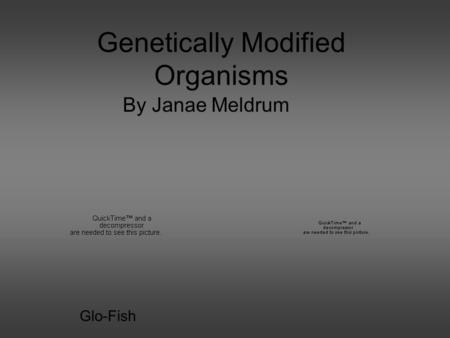 Genetically Modified Organisms By Janae Meldrum Glo-Fish.