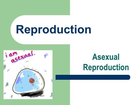 Reproduction Asexual Reproduction. New organisms develop from cells of the parent – identical to parent.