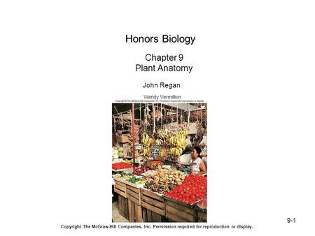 9-1 Honors Biology Chapter 9 Plant Anatomy John Regan Wendy Vermillion Copyright The McGraw-Hill Companies, Inc. Permission required for reproduction or.