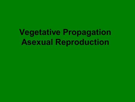 Vegetative Propagation Asexual Reproduction. Stem cutting Examples: Pothos, Purple Leaf Plant Philodendron Wandering Jews.
