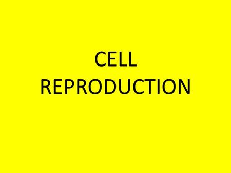 CELL REPRODUCTION. WHY DO CELLS DIVIDE? TO CREATE NEW CELLS TO REPLACE DEAD CELLS TO ALLOW GROWTH TO REPAIR DAMAGED OR INJURED CELLS.