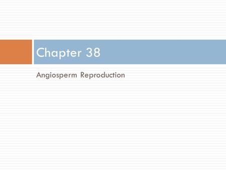 Chapter 38 Angiosperm Reproduction.