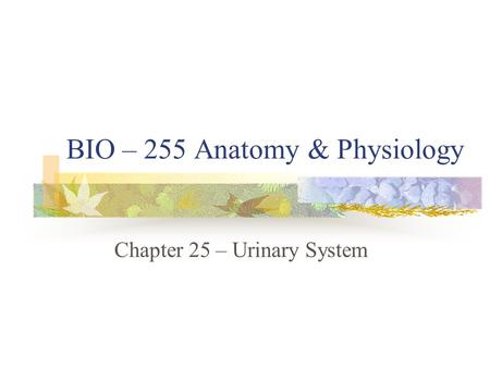 BIO – 255 Anatomy & Physiology Chapter 25 – Urinary System.