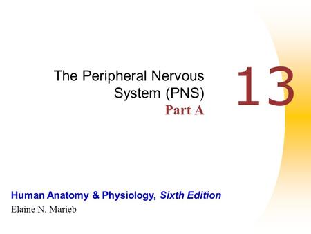 Human Anatomy & Physiology, Sixth Edition Elaine N. Marieb 13 The Peripheral Nervous System (PNS) Part A.