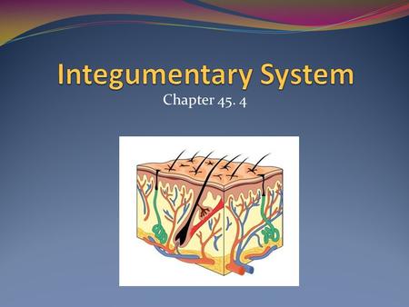 Integumentary System Chapter 45. 4.