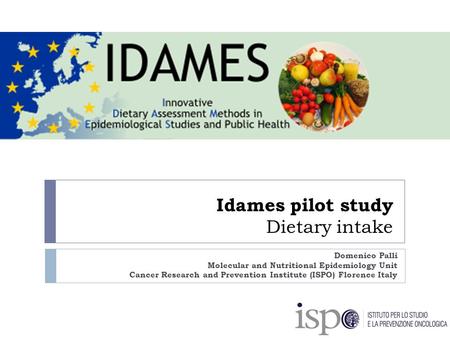 Idames pilot study Dietary intake Domenico Palli Molecular and Nutritional Epidemiology Unit Cancer Research and Prevention Institute (ISPO) Florence Italy.